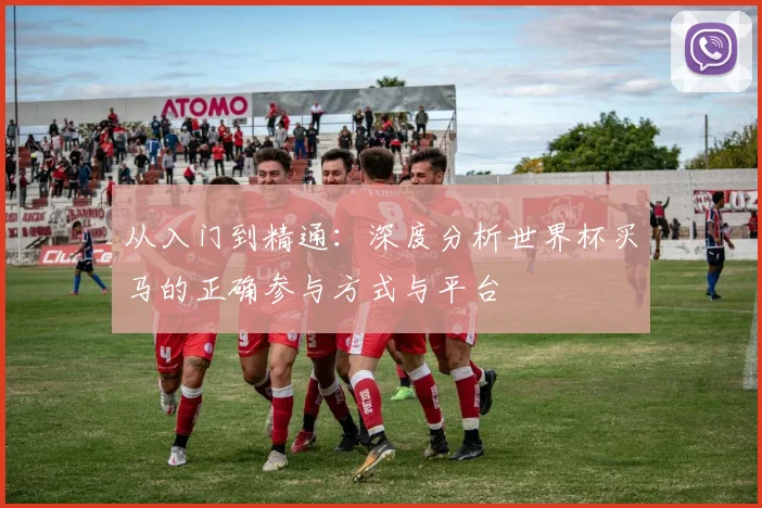 从入门到精通：深度分析世界杯买马的正确参与方式与平台
