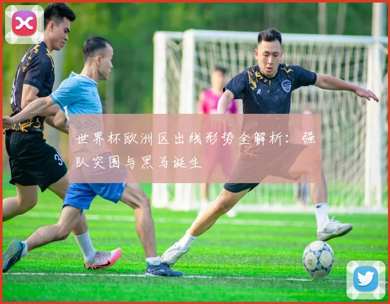 世界杯欧洲区出线形势全解析：强队突围与黑马诞生