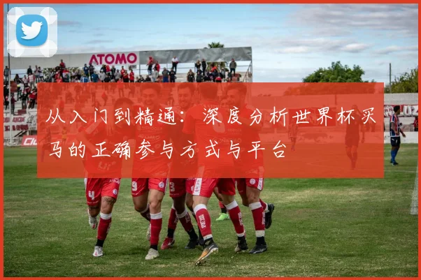 从入门到精通:深度分析世界杯买马的正确参与方式与平台