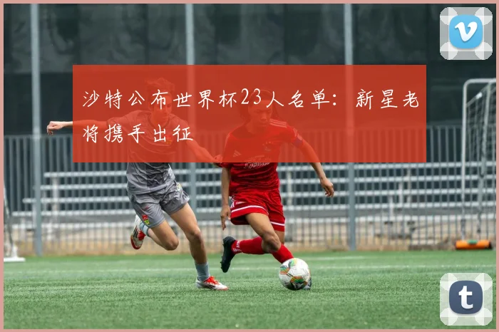 沙特公布世界杯23人名单：新星老将携手出征