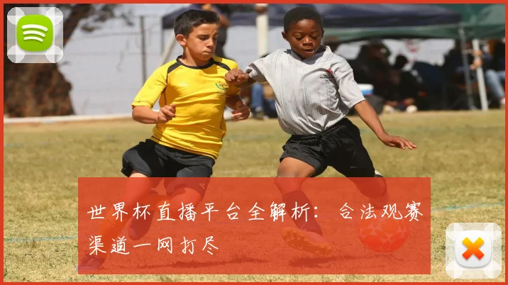 世界杯直播平台全解析:合法观赛渠道一网打尽