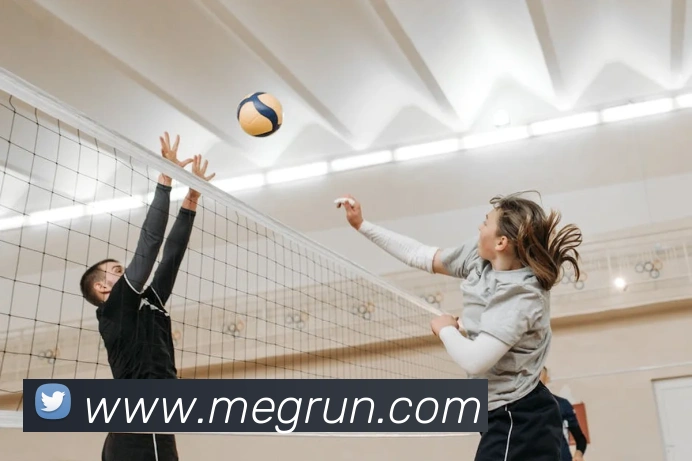 App Interface Preview